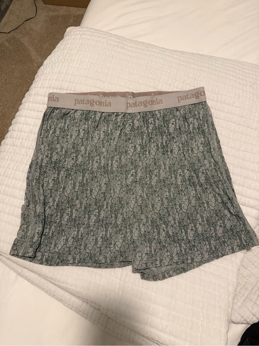 Patagonia Green/Gray Logo Briefs - Picture 1 of 3